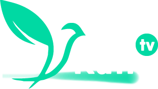 Ruth TV